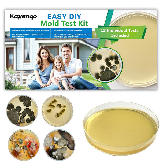 Home Mold Detection Kit