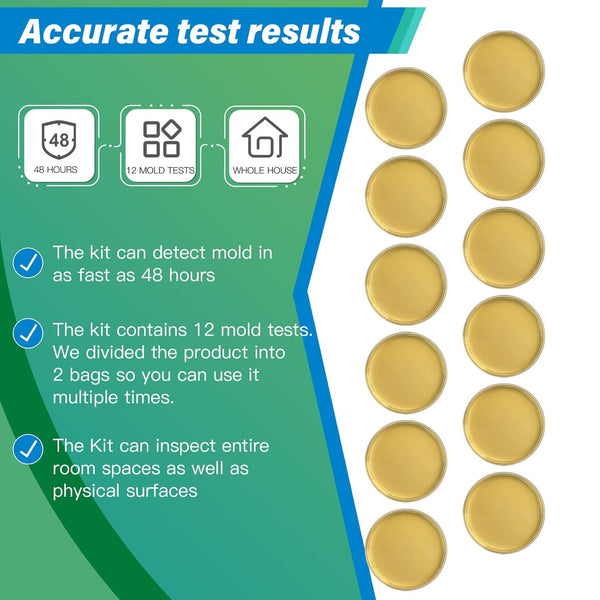 Home Mold Detection Kit