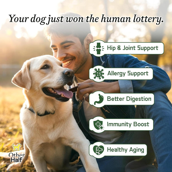 Everyday Dog Health Boost
