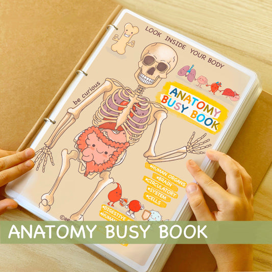 Anatomy Fun Book for Kids