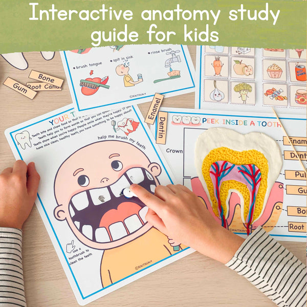 Anatomy Fun Book for Kids