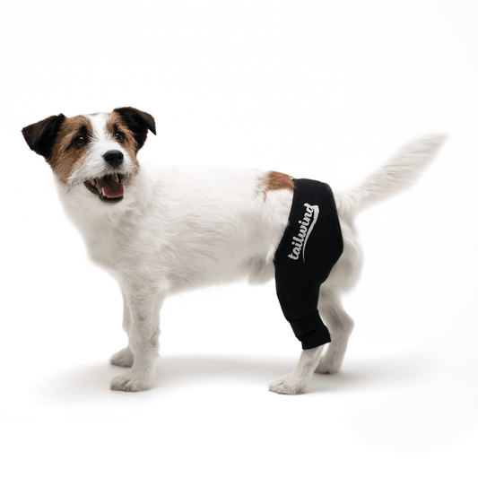 Tailwind Paws Knee Support